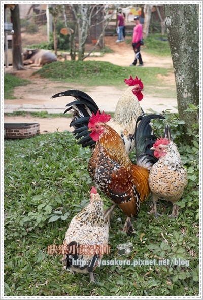 清明連假039 清明連假039