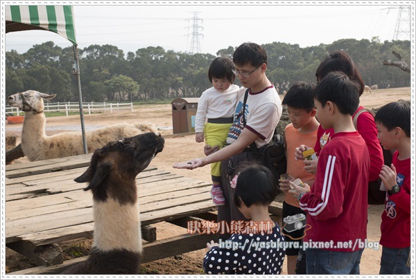 清明連假015 清明連假015