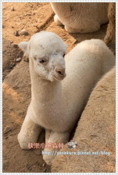 清明連假037 清明連假037