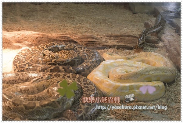 清明連假042 清明連假042