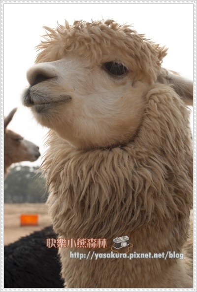 清明連假027 清明連假027