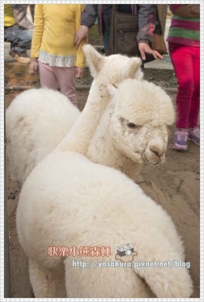 清明連假032 清明連假032