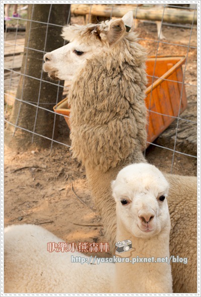 清明連假038 清明連假038