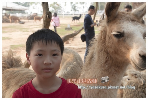 清明連假036 清明連假036