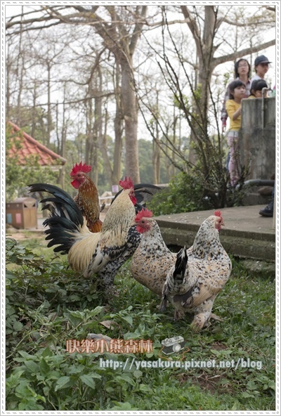 清明連假041 清明連假041