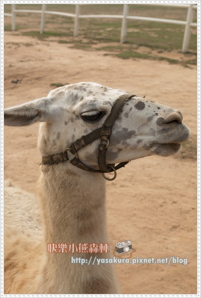 清明連假014 清明連假014