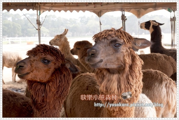 清明連假019 清明連假019