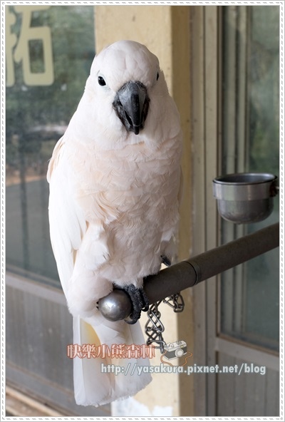 清明連假047 清明連假047