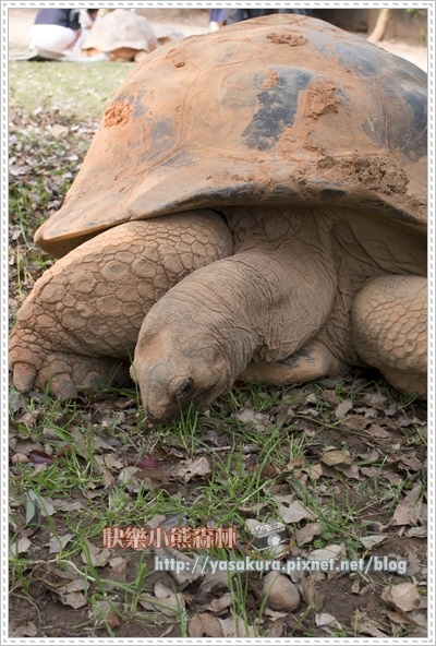 清明連假059 清明連假059