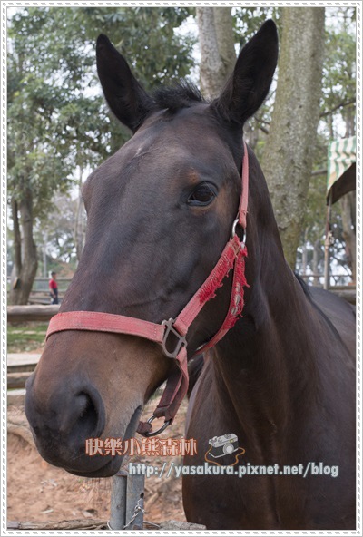 清明連假083 清明連假083