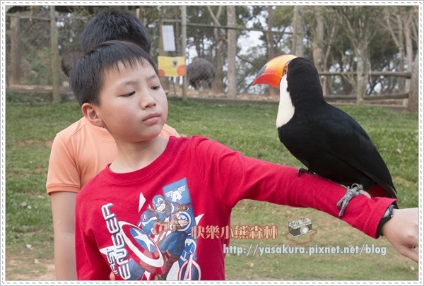 清明連假088 清明連假088