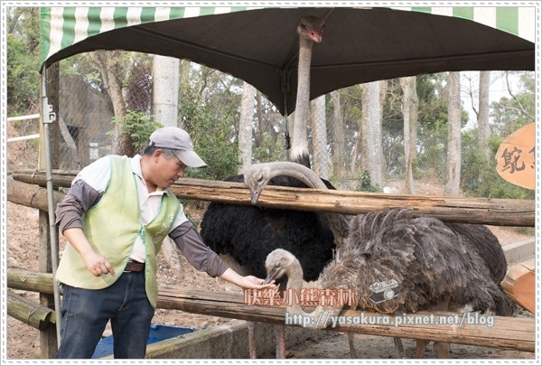 清明連假051 清明連假051