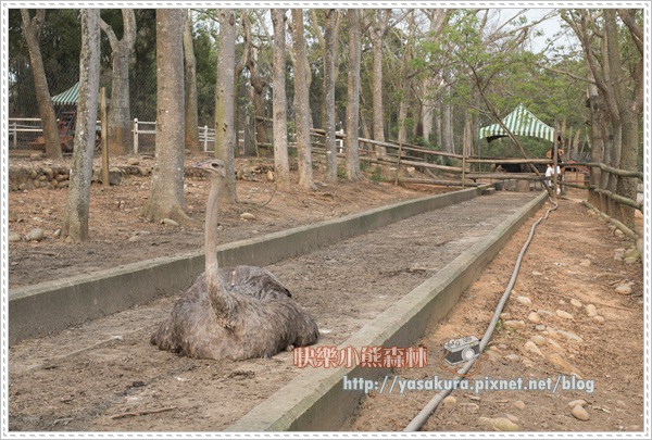 清明連假050 清明連假050