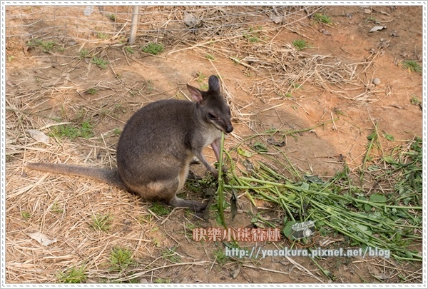 清明連假053 清明連假053