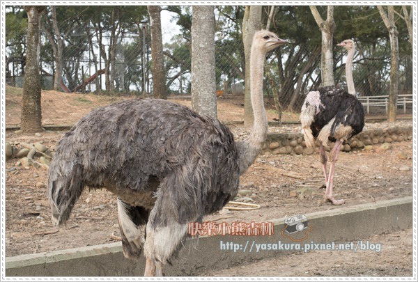 清明連假049 清明連假049