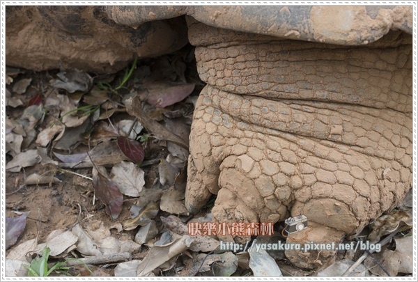 清明連假061 清明連假061