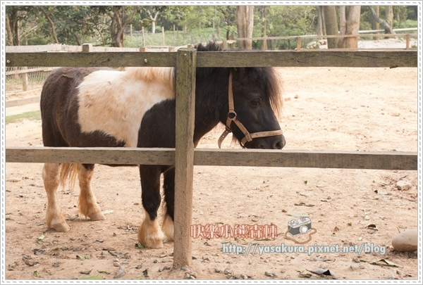 清明連假055 清明連假055