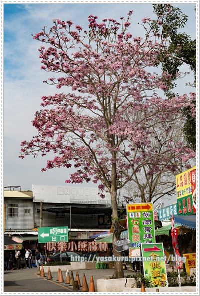 日月潭001.jpg 日月潭001.jpg
