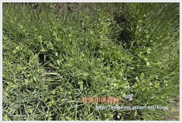 日月潭150.jpg 日月潭150.jpg