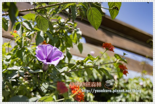 日月潭160.jpg 日月潭160.jpg