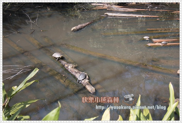 日月潭164.jpg 日月潭164.jpg