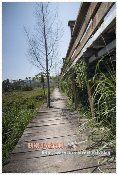 日月潭169.jpg 日月潭169.jpg