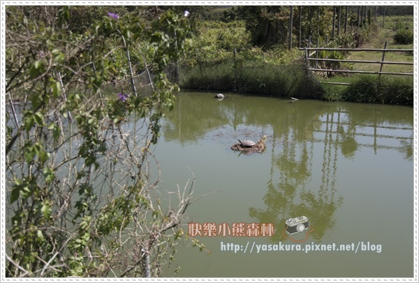 日月潭162.jpg 日月潭162.jpg