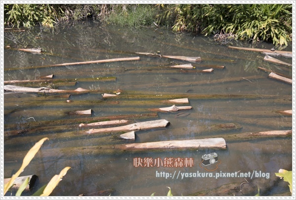 日月潭163.jpg 日月潭163.jpg