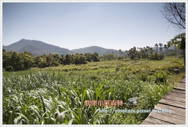 日月潭168.jpg 日月潭168.jpg