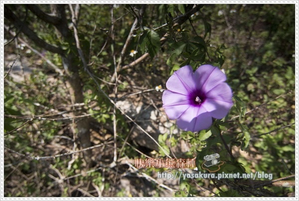 日月潭166.jpg 日月潭166.jpg