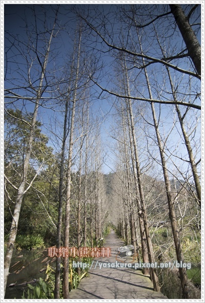 日月潭165.jpg 日月潭165.jpg