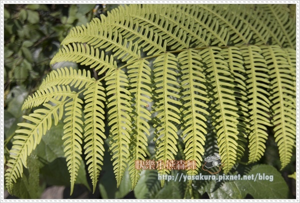 日月潭167.jpg 日月潭167.jpg