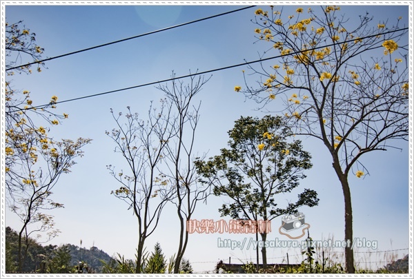 日月潭170.jpg 日月潭170.jpg