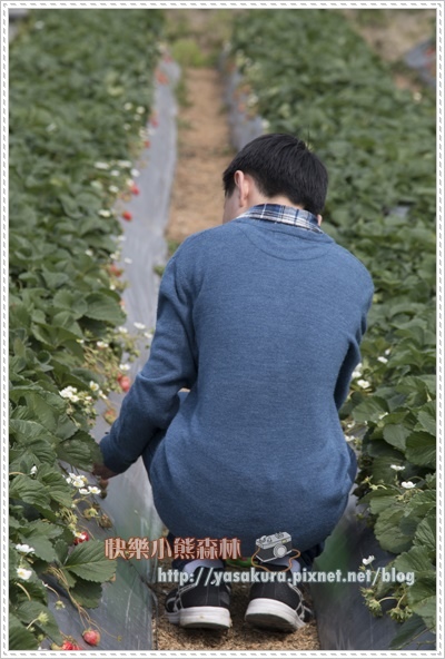 初五070.jpg 初五070.jpg