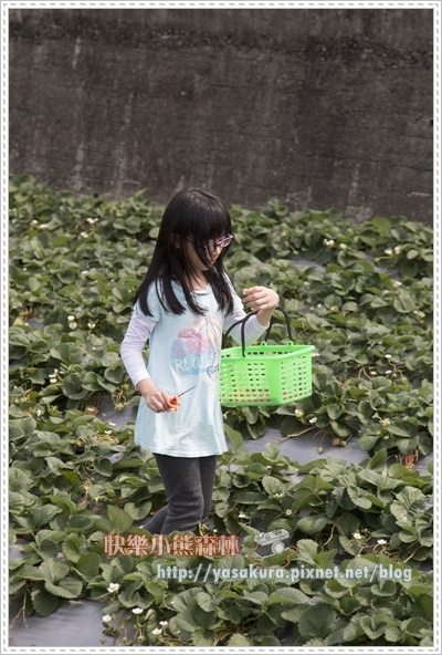 初五068.jpg 初五068.jpg