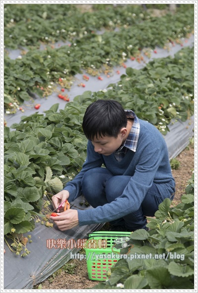 初五073.jpg 初五073.jpg