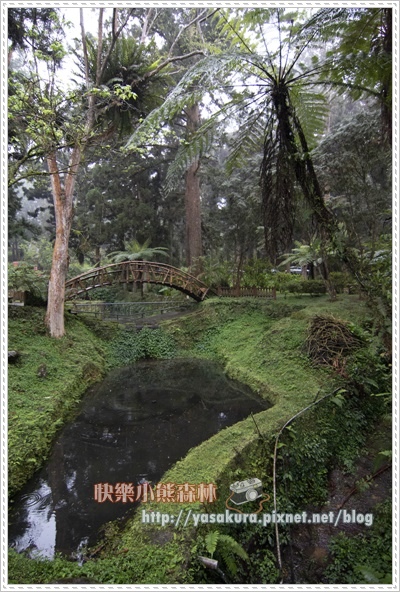 大學池023.jpg 大學池023.jpg