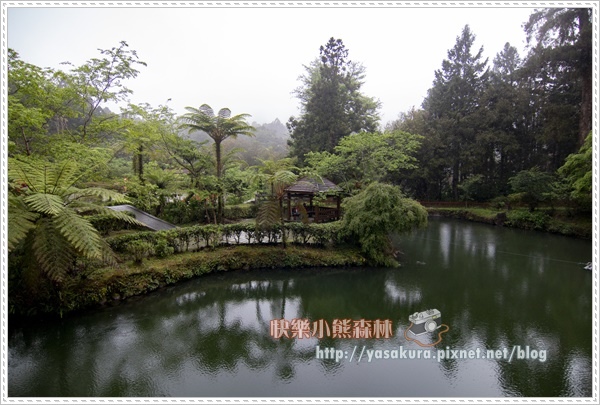 大學池038.jpg 大學池038.jpg