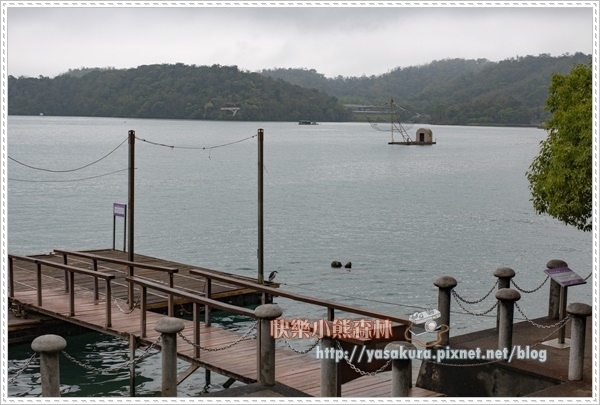 大學池093.jpg 大學池093.jpg