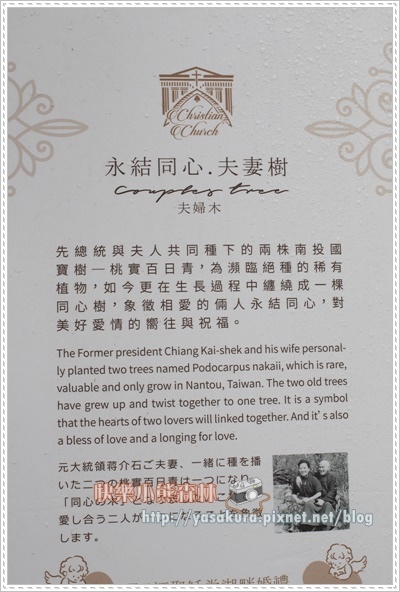 大學池090.jpg 大學池090.jpg