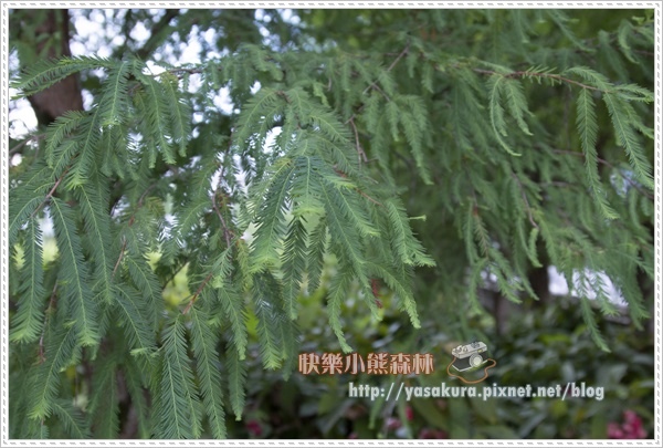 宜蘭015.jpg 宜蘭015.jpg