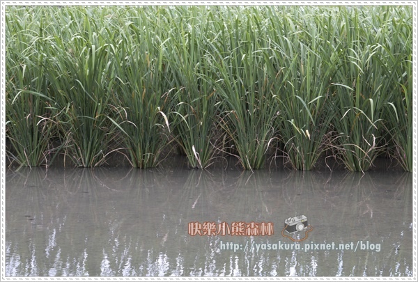 宜蘭013.jpg 宜蘭013.jpg