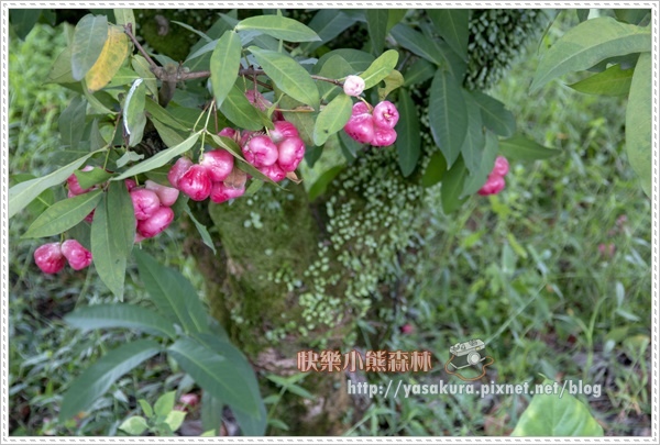 宜蘭014.jpg 宜蘭014.jpg