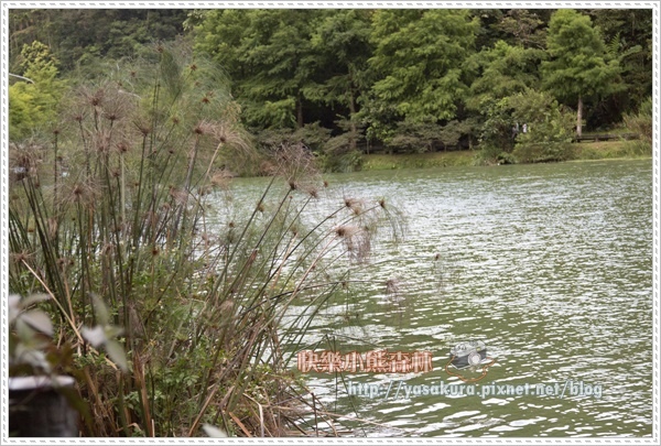 宜蘭018.jpg 宜蘭018.jpg