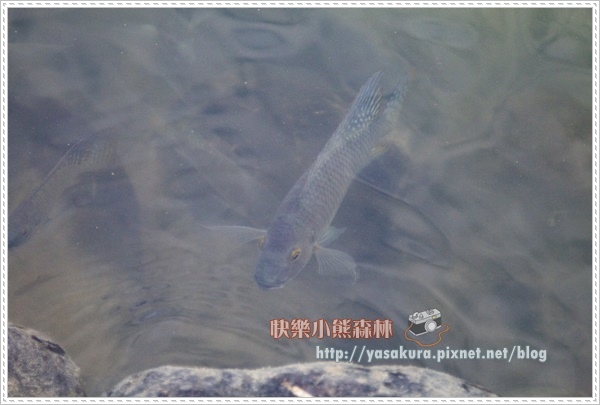 宜蘭021.jpg 宜蘭021.jpg