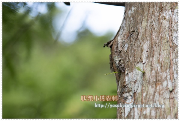 宜蘭032.jpg 宜蘭032.jpg