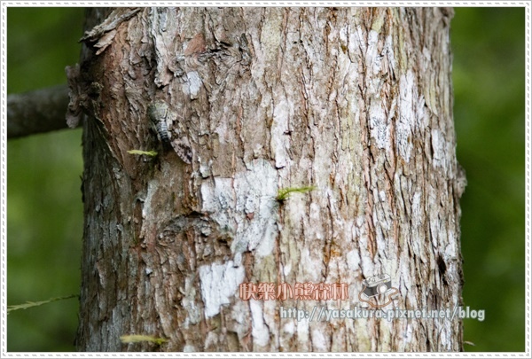 宜蘭033.jpg 宜蘭033.jpg