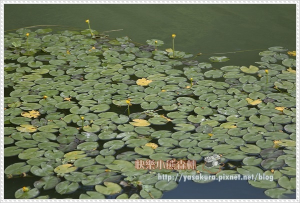 宜蘭035.jpg 宜蘭035.jpg