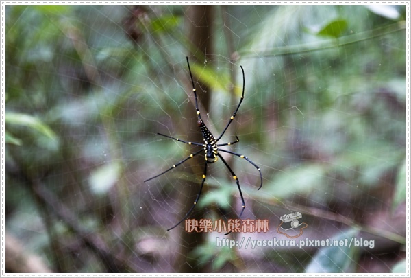 內湖035.jpg 內湖035.jpg