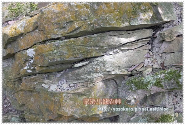 內湖053.jpg 內湖053.jpg